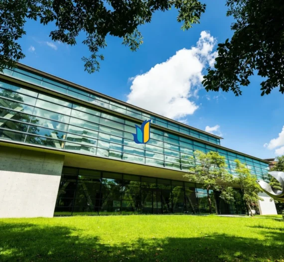 Đại học Kinh doanh Top 1